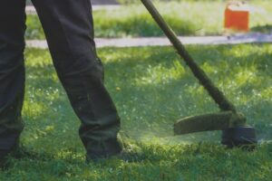 CGS are back offering garden maintenance services
