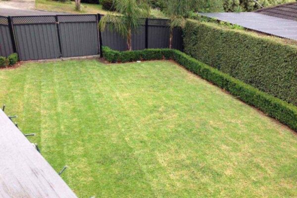 CGS gardening & lawn mowing - backyard mowing