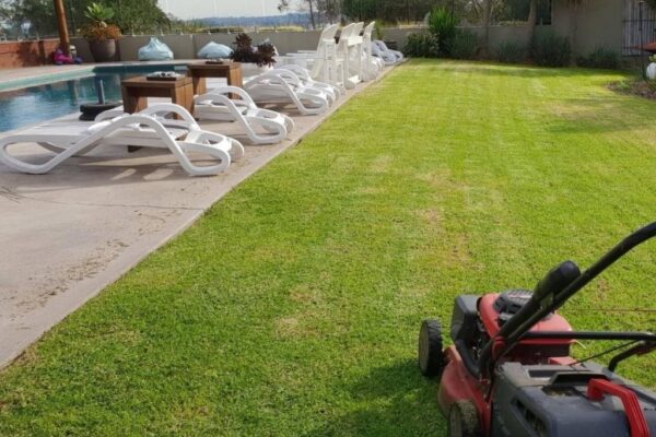 CGS gardening & lawn mowing - backyard maintenance